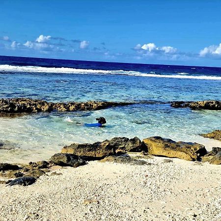 Un Ecrin De Paix Au Soleil Et Proche De La Mer Moorea Exterior foto