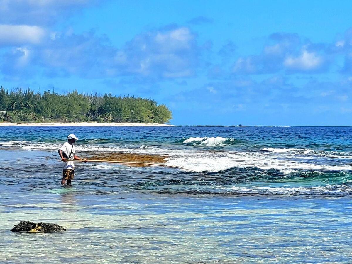 Un Ecrin De Paix Au Soleil Et Proche De La Mer Moorea Exterior foto